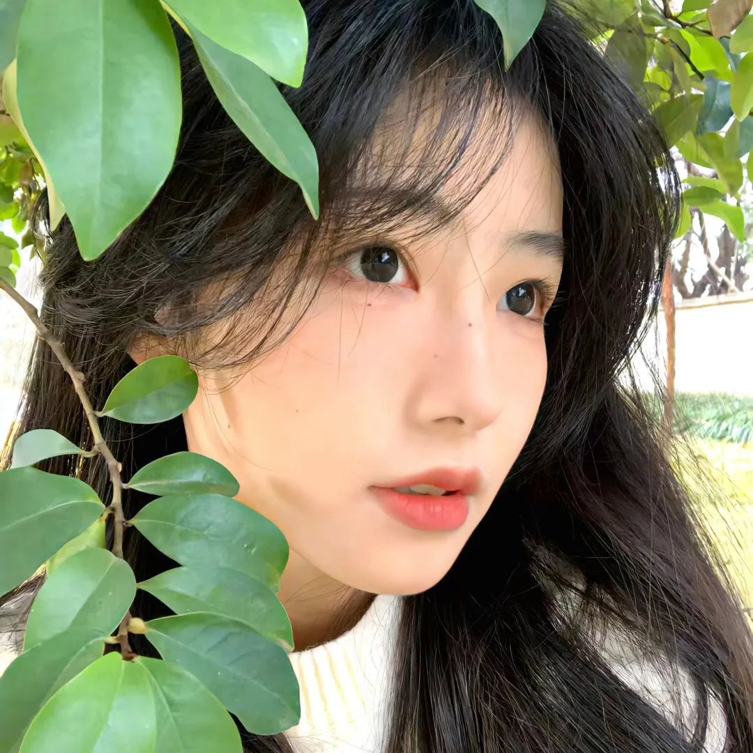 笨人寻春